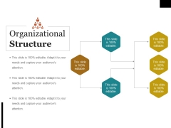 Organizational Structure Ppt PowerPoint Presentation Summary Brochure