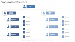 Organizational Structure Startup Business Strategy Ppt Gallery Icon PDF Organizational Structure Startup Business Strategy Ppt Gallery Icon PDF