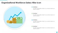 Organizational Workforce Salary Hike Icon Portrait PDF