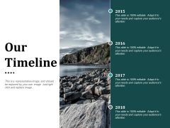 Our Timeline Ppt PowerPoint Presentation Styles Design Ideas