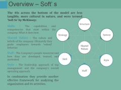 Overview Softs Ppt PowerPoint Presentation Summary Graphics Example