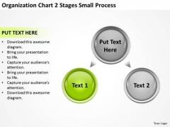 Organization Chart 2 Stages Small Process Ppt Business Plans PowerPoint Slides