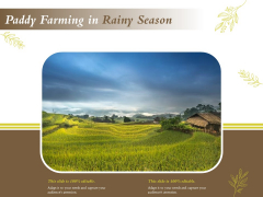 Paddy Farming In Rainy Season Ppt PowerPoint Presentation Model Graphics Design PDF Paddy Farming In Rainy Season Ppt PowerPoint Presentation Model Graphics Design PDF