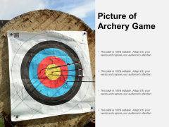 Picture Of Archery Game Ppt PowerPoint Presentation Gallery Example File