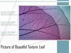 Picture Of Beautiful Texture Leaf Ppt PowerPoint Presentation Styles Model PDF Picture Of Beautiful Texture Leaf Ppt PowerPoint Presentation Styles Model PDF
