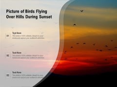 Picture Of Birds Flying Over Hills During Sunset Ppt PowerPoint Presentation Gallery Slide Download PDF Picture Of Birds Flying Over Hills During Sunset Ppt PowerPoint Presentation Gallery Slide Download PDF