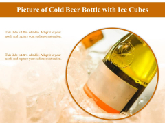 Picture Of Cold Beer Bottle With Ice Cubes Ppt PowerPoint Presentation Background PDF