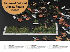 Picture Of Colorful Jigsaw Puzzle Pieces Ppt PowerPoint Presentation Portfolio Skills Picture Of Colorful Jigsaw Puzzle Pieces Ppt PowerPoint Presentation Portfolio Skills