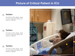 Picture Of Critical Patient In ICU Ppt PowerPoint Presentation Pictures Background Image PDF Picture Of Critical Patient In ICU Ppt PowerPoint Presentation Pictures Background Image PDF