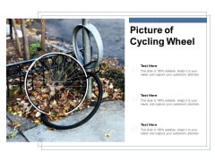 Picture Of Cycling Wheel Ppt PowerPoint Presentation Outline Introduction Picture Of Cycling Wheel Ppt PowerPoint Presentation Outline Introduction