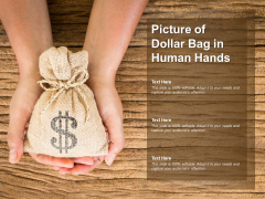 Picture Of Dollar Bag In Human Hands Ppt PowerPoint Presentation Ideas Introduction Picture Of Dollar Bag In Human Hands Ppt PowerPoint Presentation Ideas Introduction