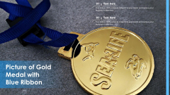 Picture Of Gold Medal With Blue Ribbon Ppt Model Objects PDF Picture Of Gold Medal With Blue Ribbon Ppt Model Objects PDF