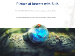 Picture Of Insects With Bulb Ppt PowerPoint Presentation Professional Slides PDF Picture Of Insects With Bulb Ppt PowerPoint Presentation Professional Slides PDF