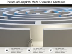 Picture Of Labyrinth Maze Overcome Obstacles Ppt PowerPoint Presentation Ideas Template Picture Of Labyrinth Maze Overcome Obstacles Ppt PowerPoint Presentation Ideas Template