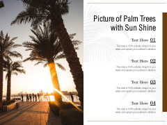 Picture Of Palm Trees With Sun Shine Ppt PowerPoint Presentation Icon Gridlines PDF Picture Of Palm Trees With Sun Shine Ppt PowerPoint Presentation Icon Gridlines PDF