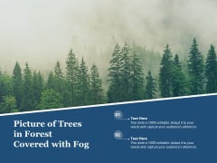 Picture Of Trees In Forest Covered With Fog Ppt PowerPoint Presentation Pictures Aids PDF Picture Of Trees In Forest Covered With Fog Ppt PowerPoint Presentation Pictures Aids PDF