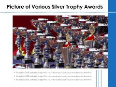Picture Of Various Silver Trophy Awards Ppt PowerPoint Presentation Gallery Professional PDF Picture Of Various Silver Trophy Awards Ppt PowerPoint Presentation Gallery Professional PDF