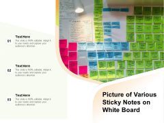 Picture Of Various Sticky Notes On White Board Ppt PowerPoint Presentation Portfolio Mockup PDF Picture Of Various Sticky Notes On White Board Ppt PowerPoint Presentation Portfolio Mockup PDF