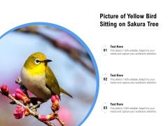 Picture Of Yellow Bird Sitting On Sakura Tree Ppt PowerPoint Presentation File Deck PDF Picture Of Yellow Bird Sitting On Sakura Tree Ppt PowerPoint Presentation File Deck PDF