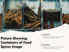 Picture Showing Containers Of Food Spices Image Ppt PowerPoint Presentation Outline Layout Ideas PDF Picture Showing Containers Of Food Spices Image Ppt PowerPoint Presentation Outline Layout Ideas PDF