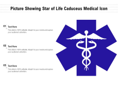 Picture Showing Star Of Life Caduceus Medical Icon Ppt PowerPoint Presentation File Icon PDF Picture Showing Star Of Life Caduceus Medical Icon Ppt PowerPoint Presentation File Icon PDF