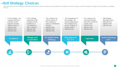 Pitch Deck To Procure Funds From Private Investor Exit Strategy Choices Background PDF Pitch Deck To Procure Funds From Private Investor Exit Strategy Choices Background PDF