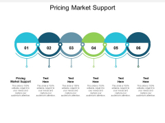 Pricing Market Support Ppt PowerPoint Presentation File Model Cpb