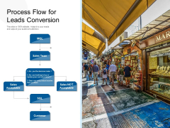 Process Flow For Leads Conversion Ppt PowerPoint Presentation Icon Show PDF
