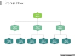 Process Flow Ppt PowerPoint Presentation Portfolio