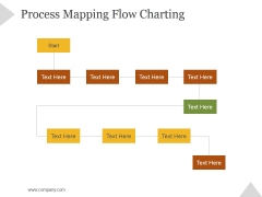 Process Mapping Flow Charting Ppt PowerPoint Presentation Slide Download