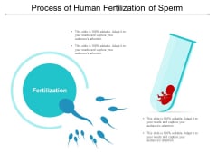 Process Of Human Fertilization Of Sperm Ppt Powerpoint Presentation Styles Inspiration Process Of Human Fertilization Of Sperm Ppt Powerpoint Presentation Styles Inspiration