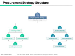 Procurement Strategy Structure Ppt PowerPoint Presentation Professional Outfit