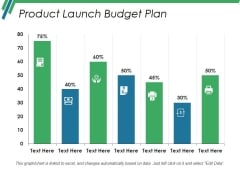 Product Launch Budget Plan Ppt PowerPoint Presentation Styles Influencers