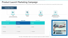 Product Launch Marketing Campaign Ppt Graphics PDF