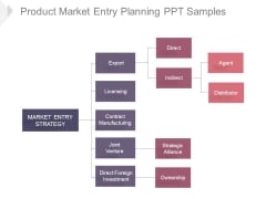 Product Market Entry Planning Ppt Samples