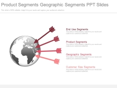 Product Segments Geographic Segments Ppt Slides