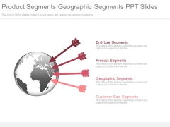 Product Segments Geographic Segments Ppt Slides Product Segments Geographic Segments Ppt Slides