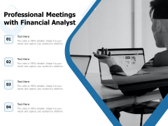 Professional Meetings With Financial Analyst Ppt PowerPoint Presentation Professional Ideas PDF
