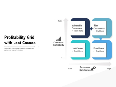 Profitability Grid With Lost Causes Ppt PowerPoint Presentation Gallery Background PDF