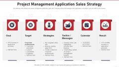 Project Management Application Sales Strategy Infographics PDF
