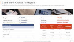 Project Management Modelling Techniques IT Cost Benefit Analysis For Projects Graphics PDF