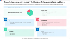 Project Management Summary Addressing Risks Assumptions And Issues Brochure PDF