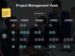 Project Management Team Ppt PowerPoint Presentation Icon Background Project Management Team Ppt PowerPoint Presentation Icon Background