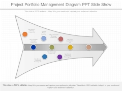 Project Portfolio Management Diagram Ppt Slide Show