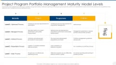Project Program Portfolio Management Maturity Model Levels Download PDF
