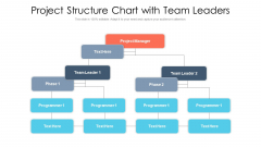 Project Structure Chart With Team Leaders Ppt PowerPoint Presentation Gallery Visuals PDF Project Structure Chart With Team Leaders Ppt PowerPoint Presentation Gallery Visuals PDF
