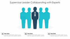 Project Supervisor Collaborating With Experts Ppt PowerPoint Presentation Clipart PDF Project Supervisor Collaborating With Experts Ppt PowerPoint Presentation Clipart PDF