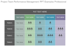 Project Team Performance Management Ppt Examples Professional Project Team Performance Management Ppt Examples Professional