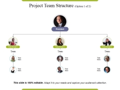 Project Team Structure Ppt PowerPoint Presentation Inspiration Design Inspiration