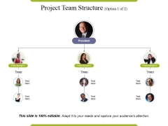 team structure slide geeks team structure ppt
